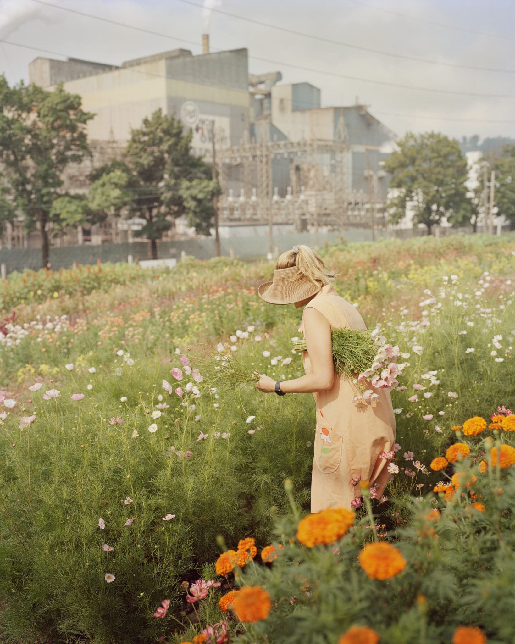 Gregory Halpern - King, Queen, Knave