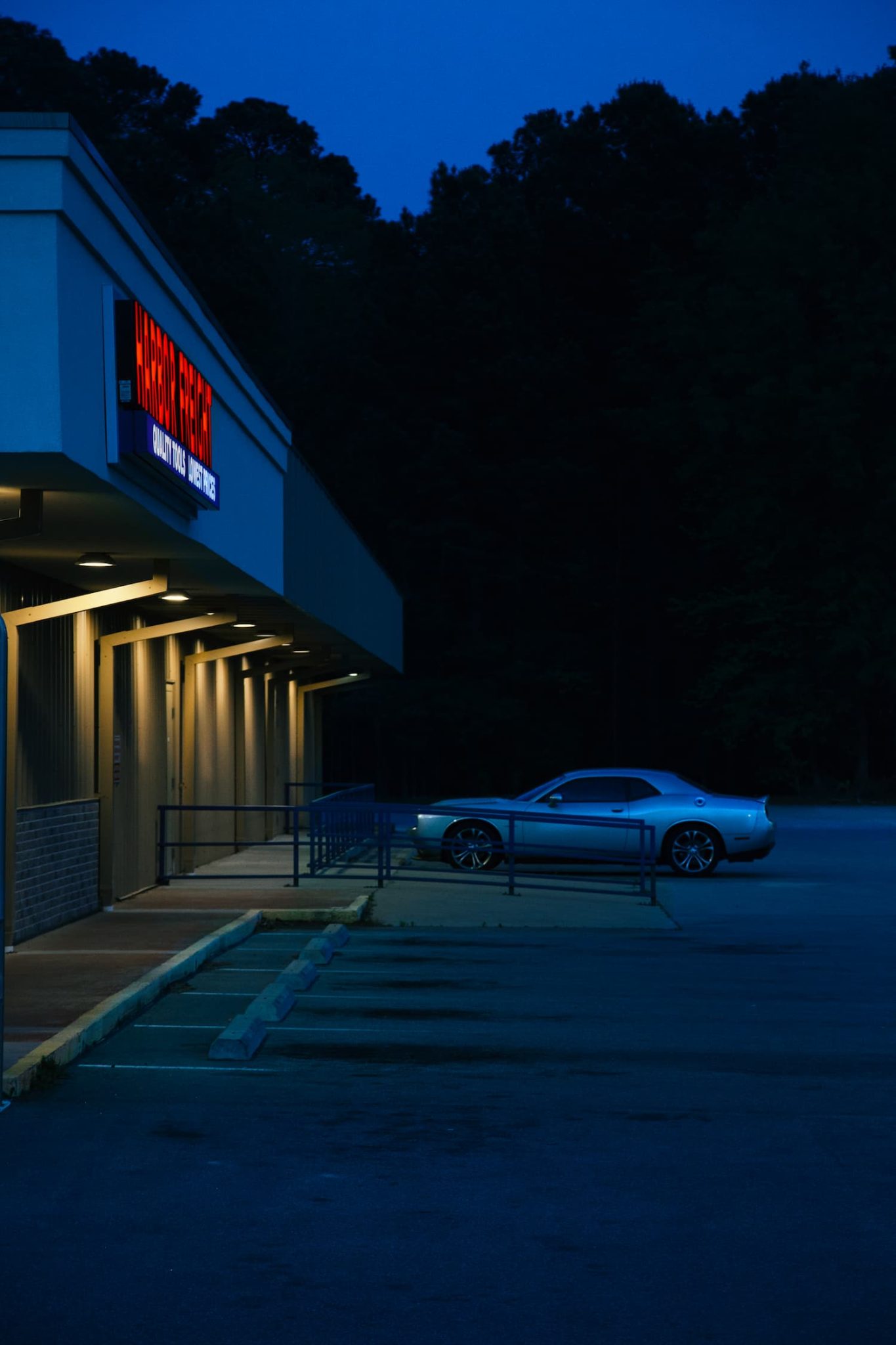 Céline Sarr - Wilson