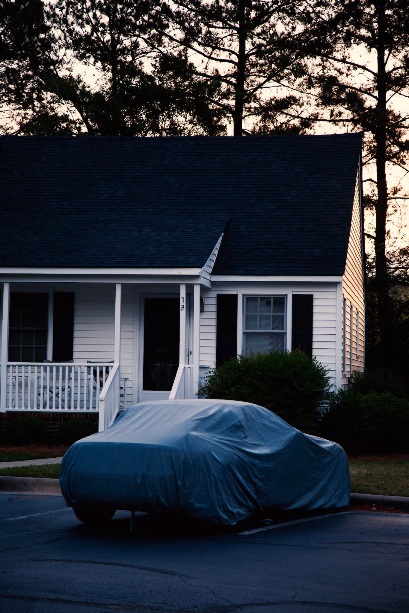 Céline Sarr - Wilson