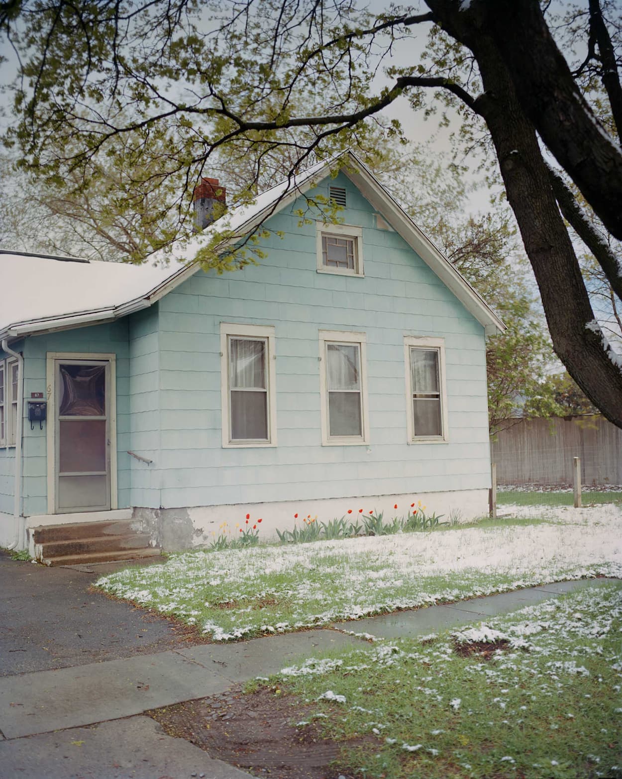 Gregory Halpern - King, Queen, Knave
