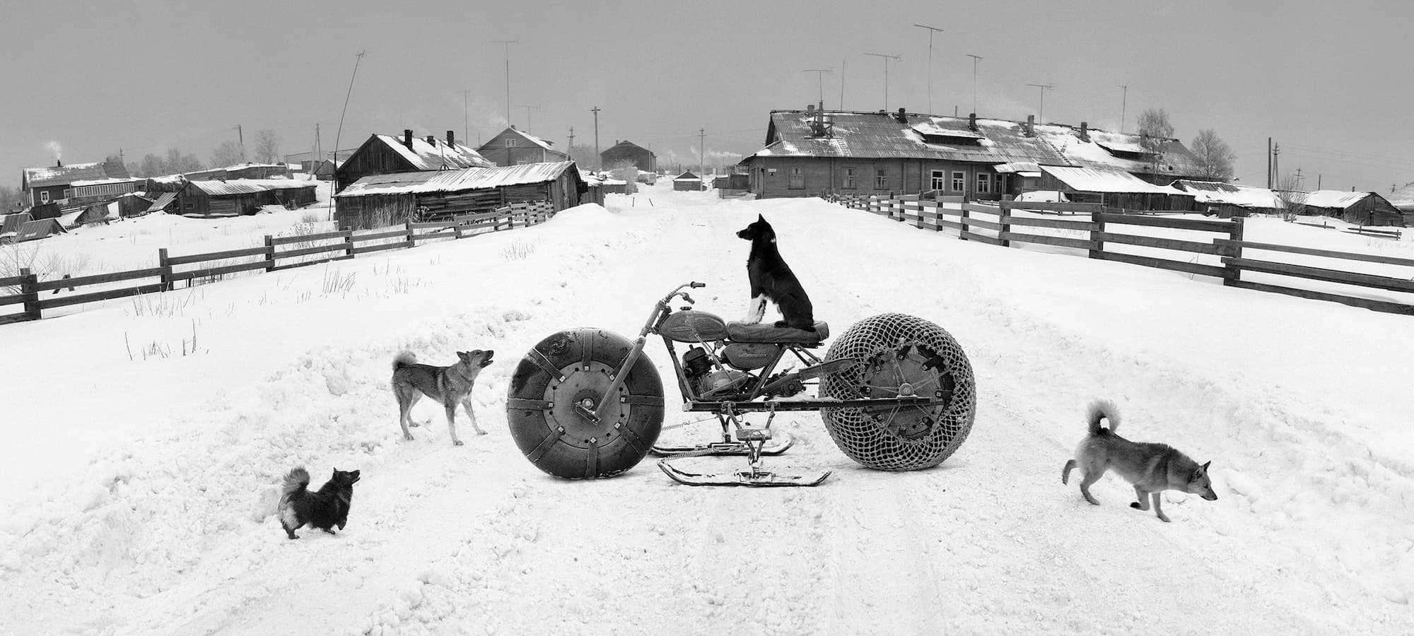 Pentti Sammallahti, Solovki, Russie, 1992
