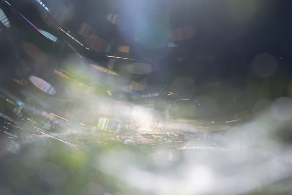 Rinko Kawauchi, As it is