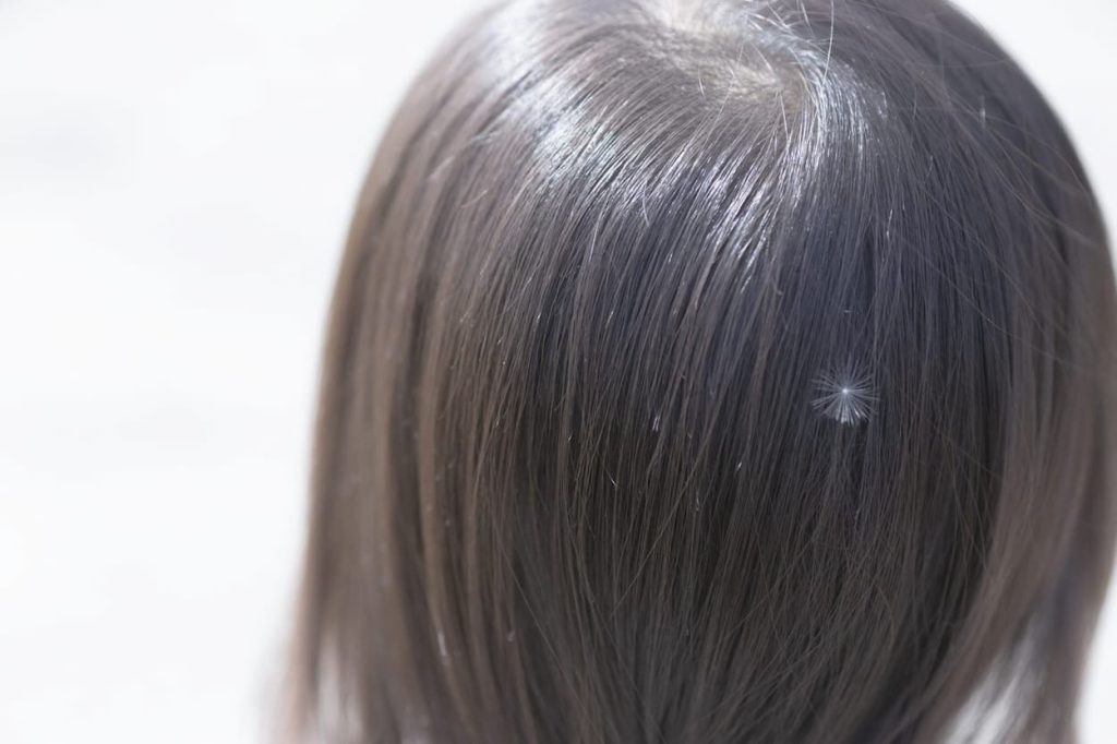 Rinko Kawauchi, As it is