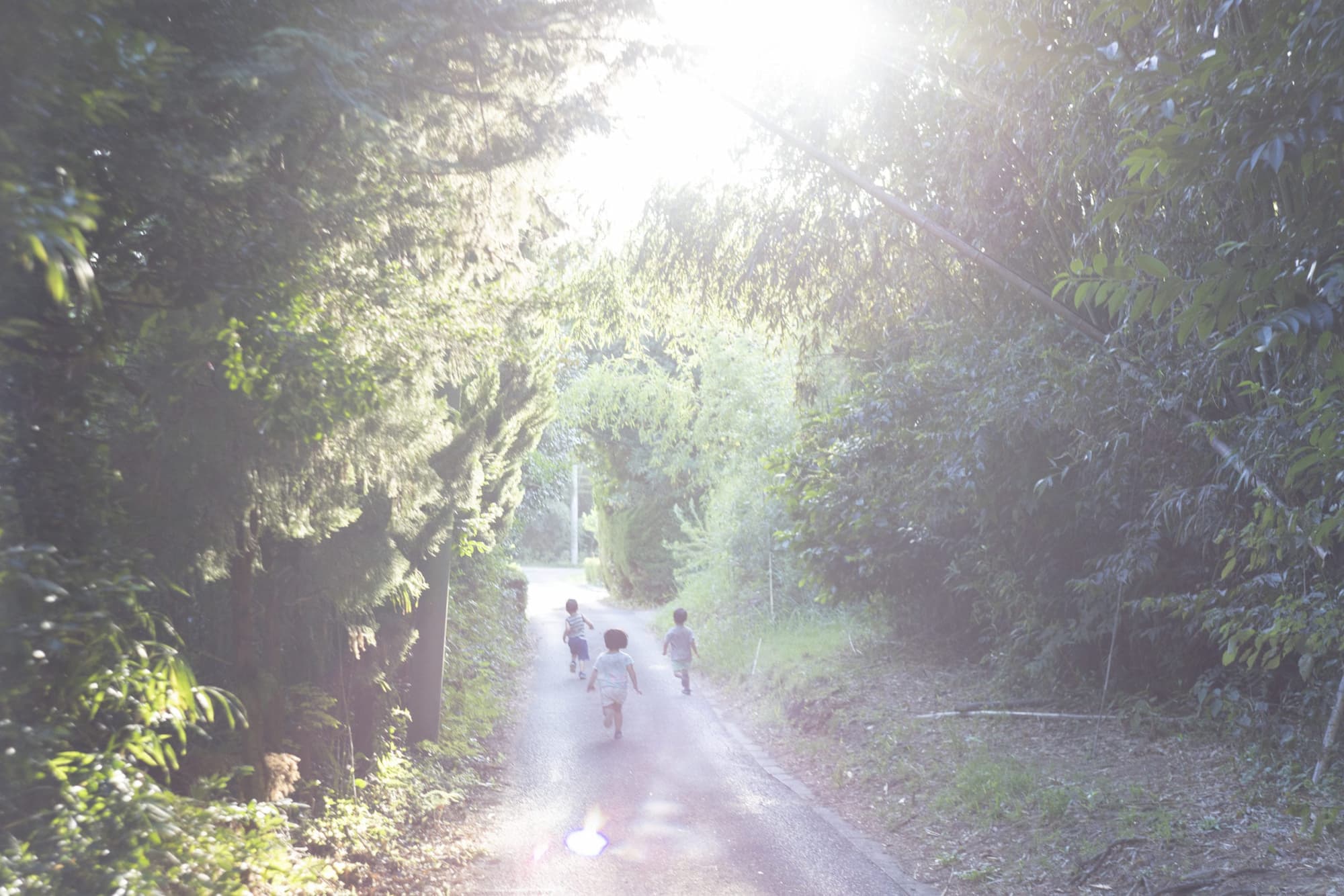 Rinko Kawauchi, As it is