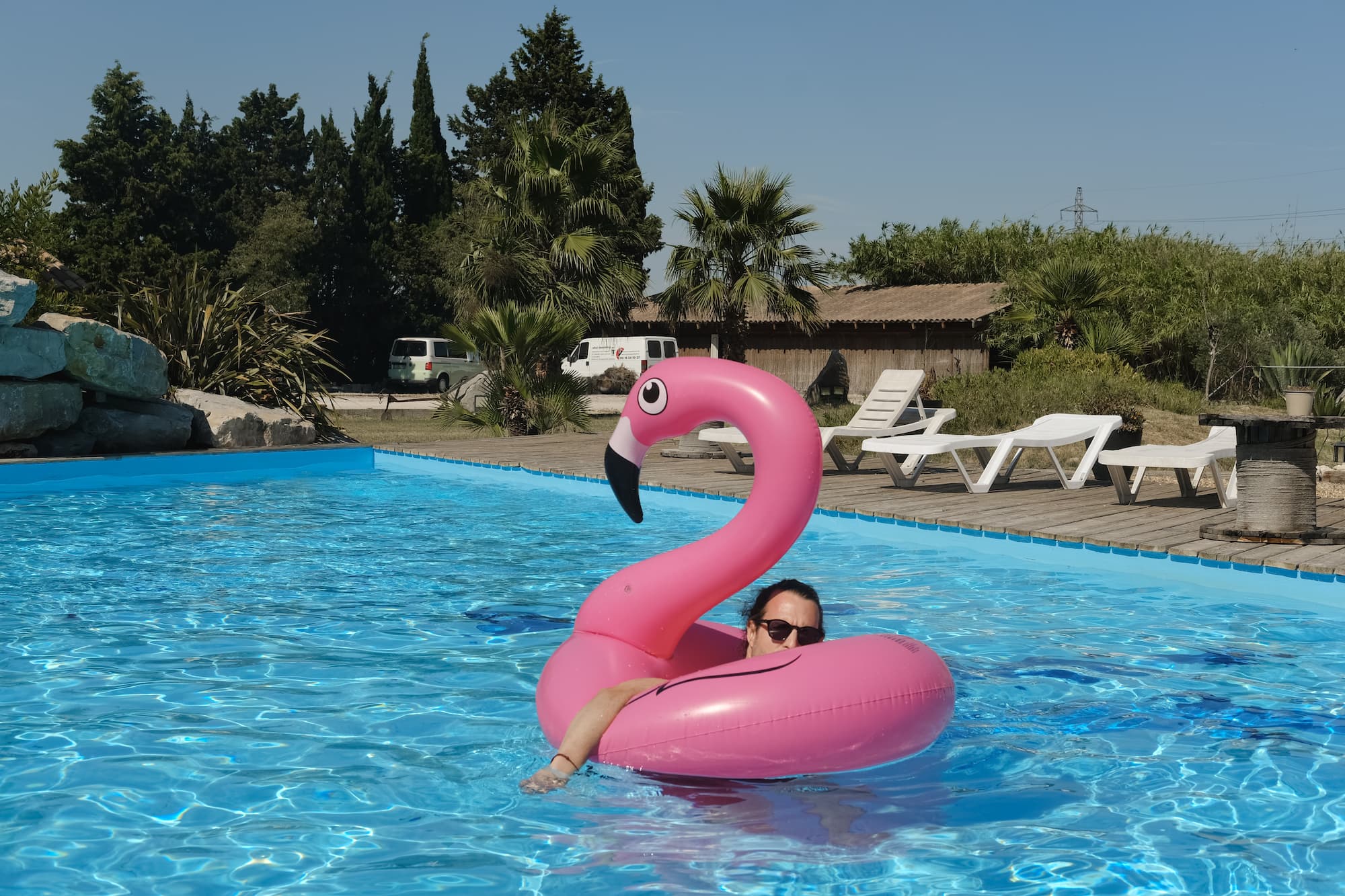 Edouard et un flamand rose