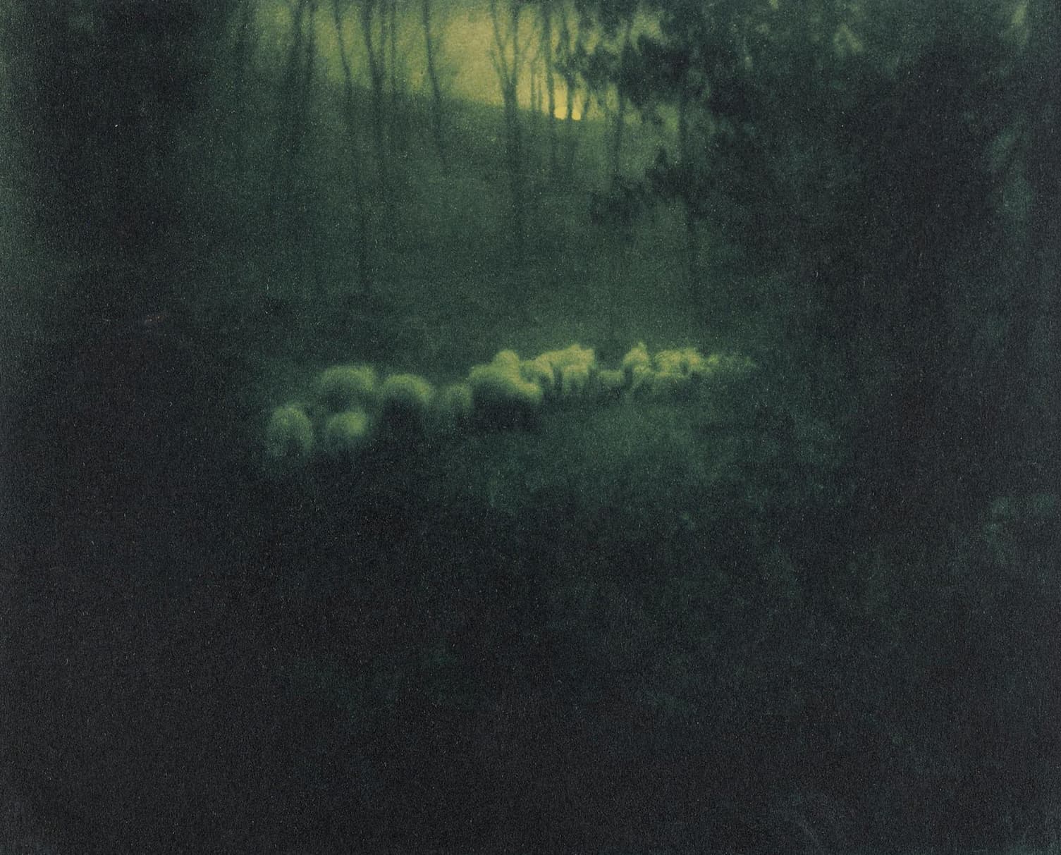Edward Steichen, Pastoral Moonlight, 1907