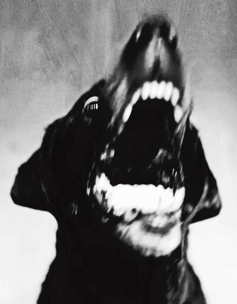 Jack Davison, 2015
