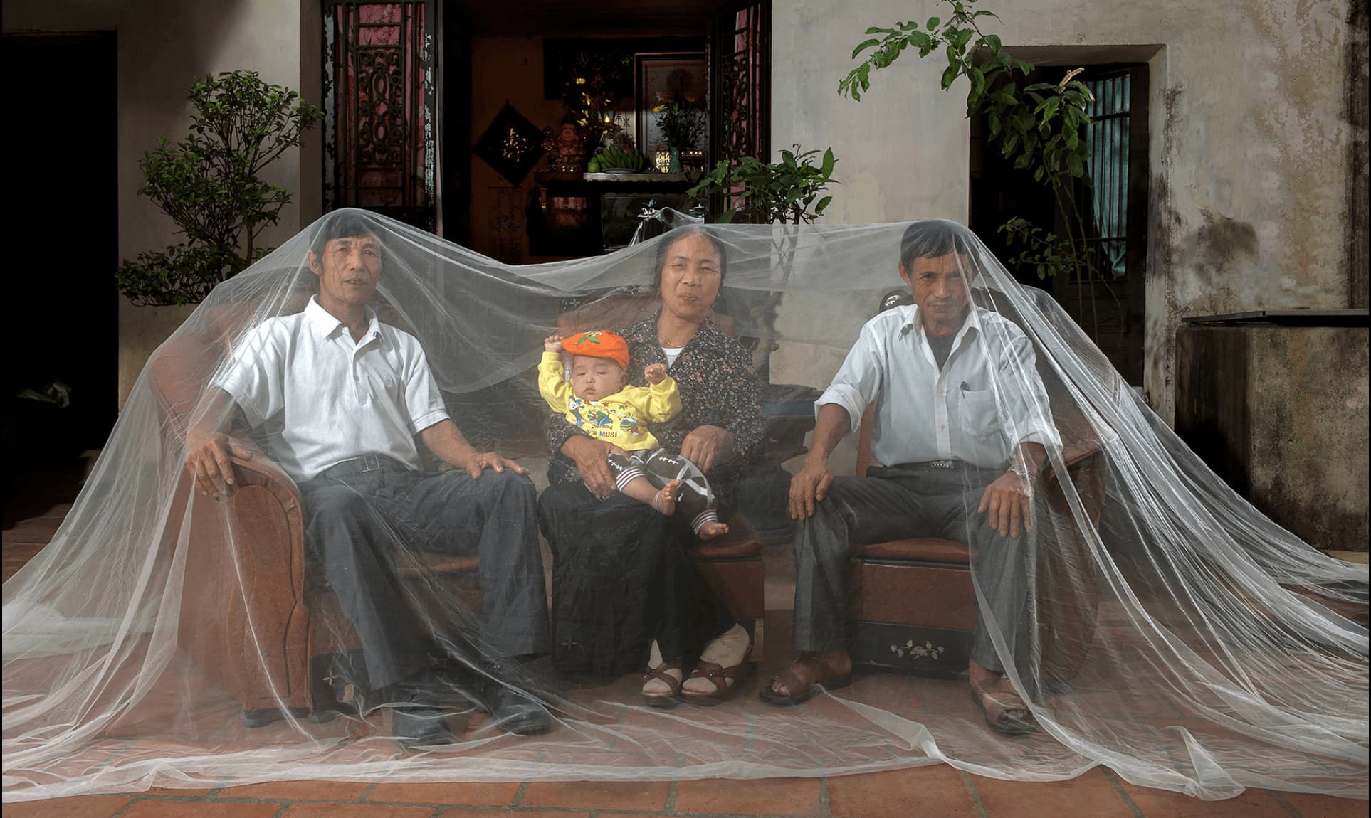 Phan Quang, série "Re/cover"