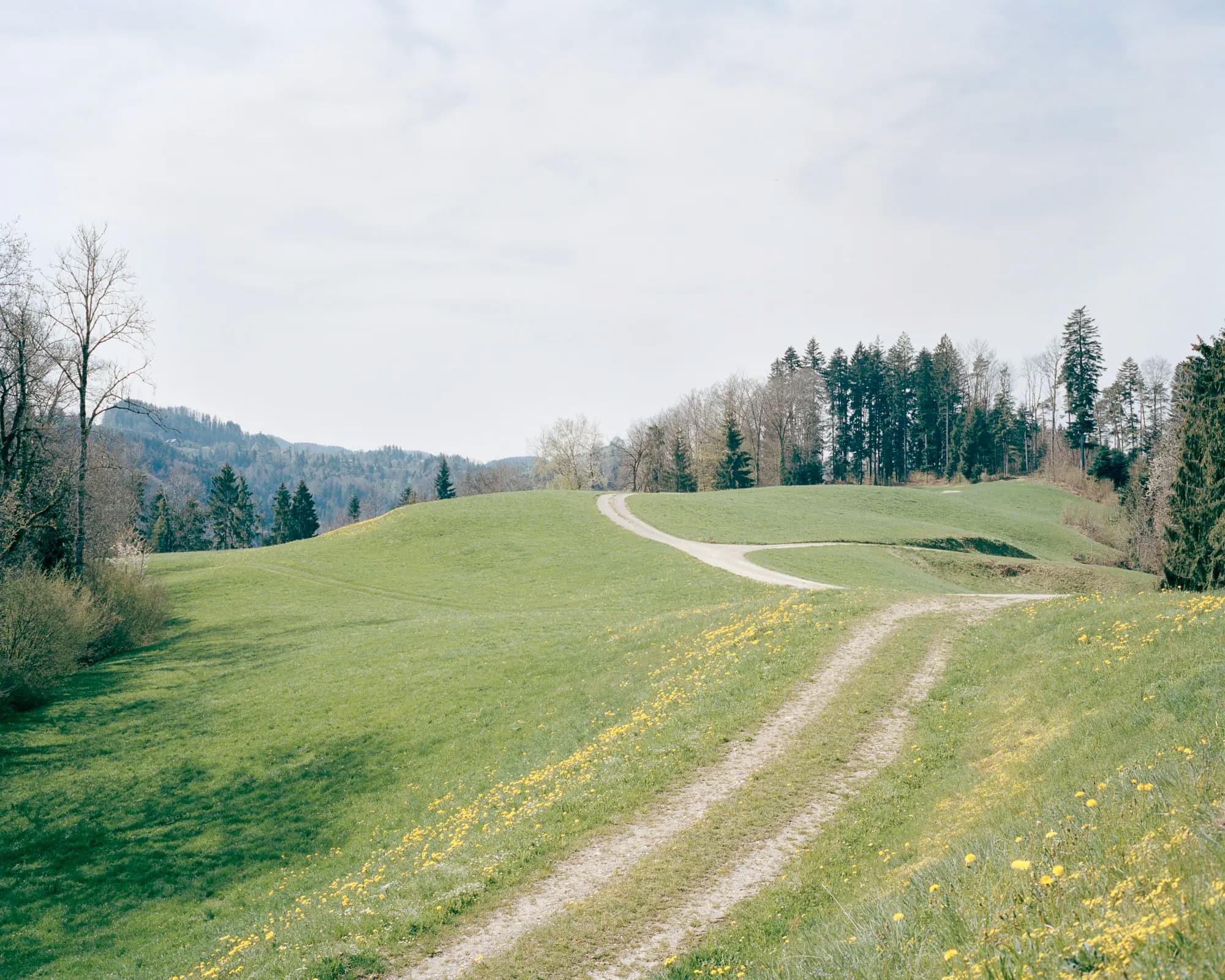 Silas Bahr, Ober Sädelegg, Suisse, 2020