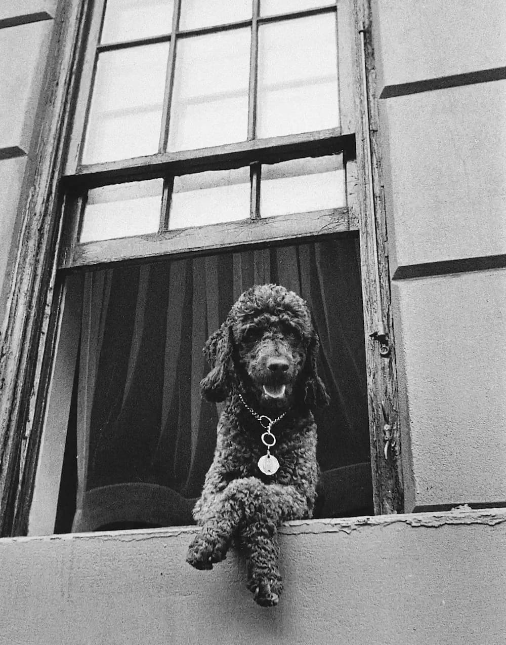 Todd Webb, 79th Street, New York, 1952