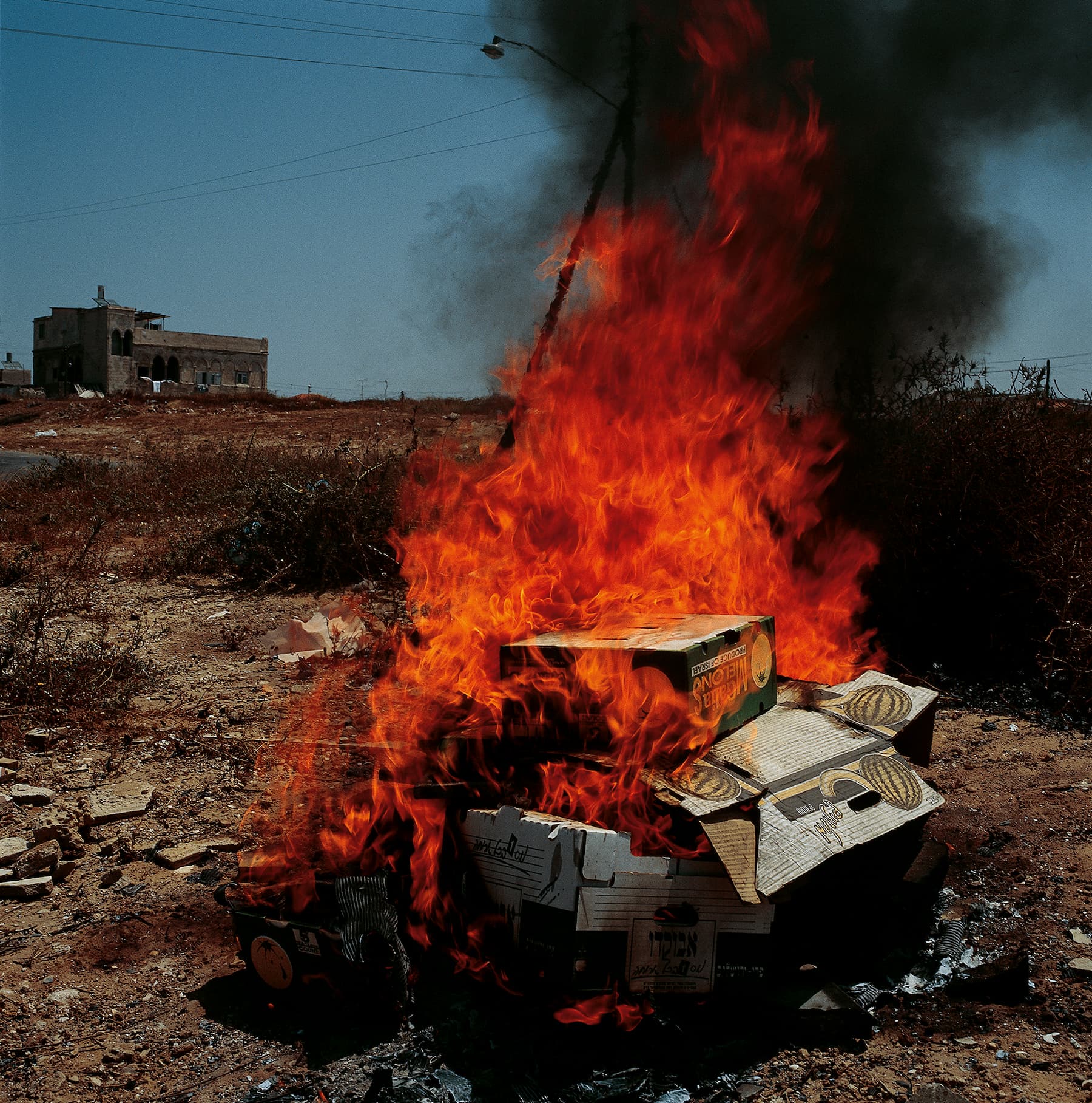 Didier Ben Loulou - Jaffa